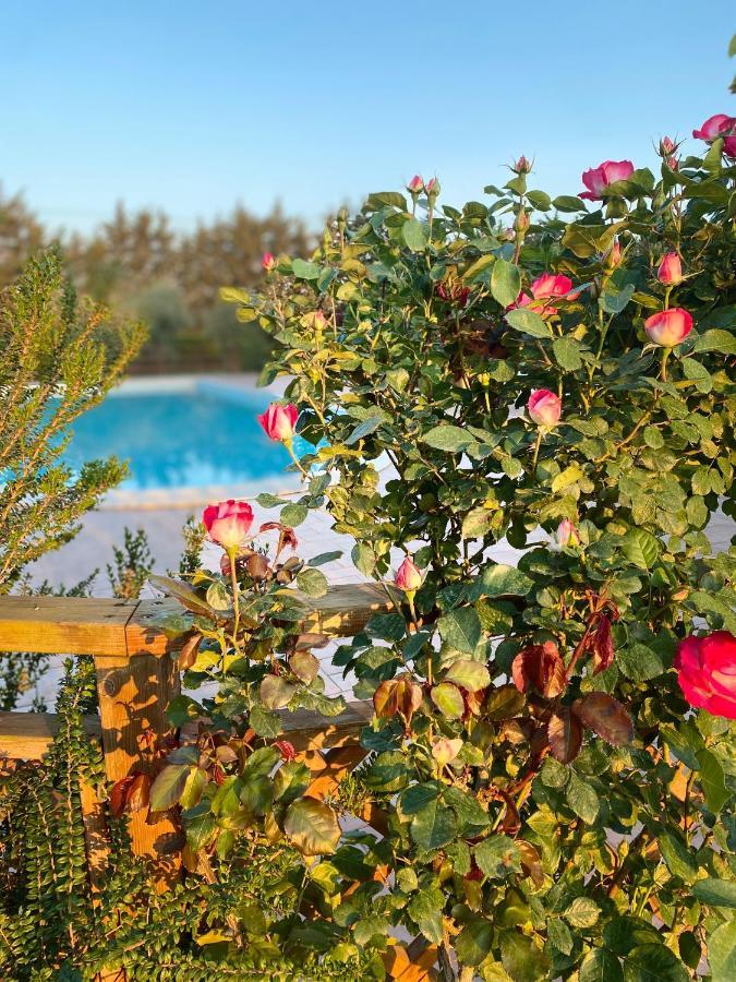 Agriturismo Le Giare Bagno Roselle Zewnętrze zdjęcie